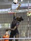 Hoover Volleyball SemiFinals 2016