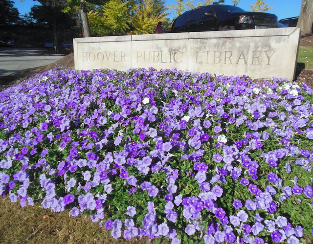 Hoover Public Library sign
