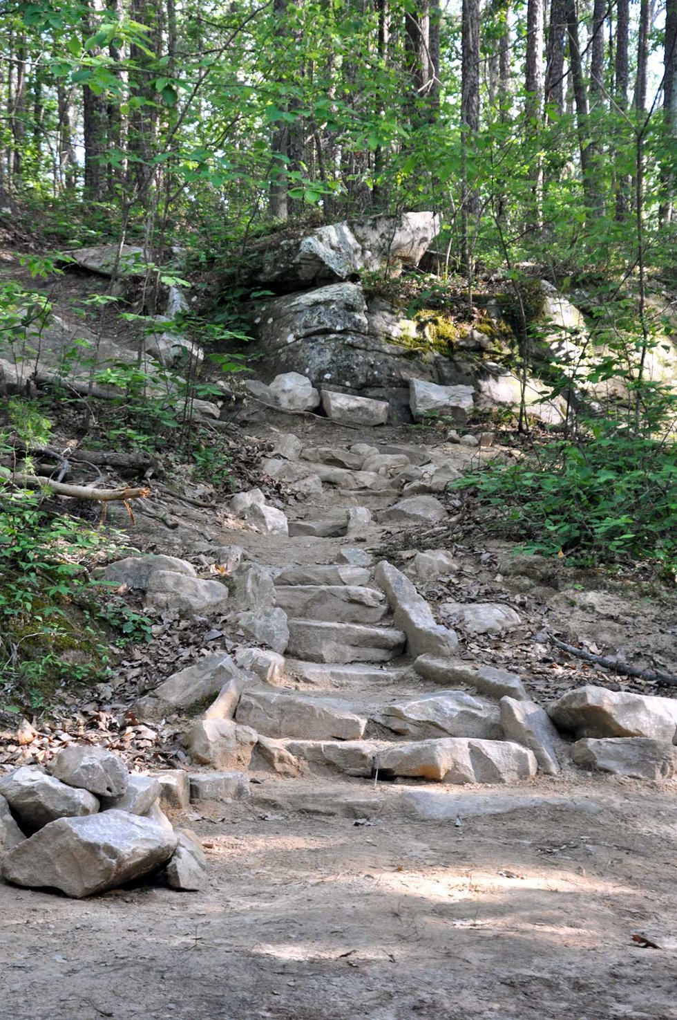 HV-COVER-Moss-Rocks-Boulders-Stairs-After.jpg