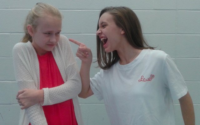 Berry Middle School Drama Club Presents Annie Jr Musical