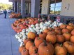 Whole Foods Riverchase 10-18-17 (27)