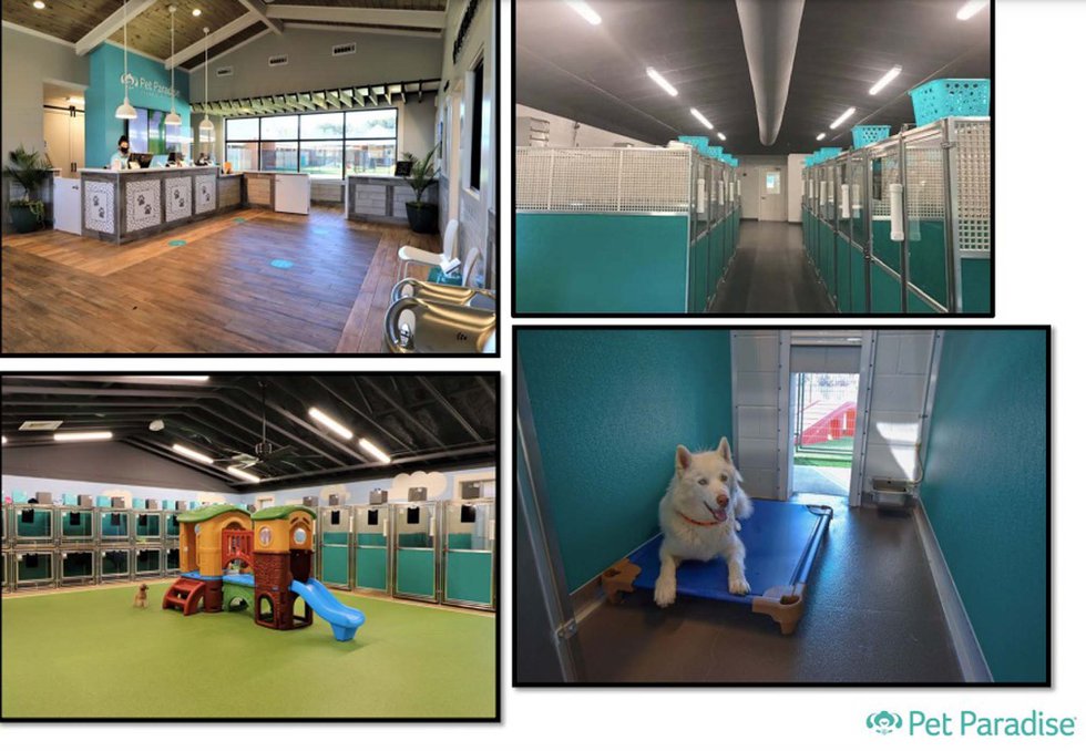 Paradise best sale pet resort