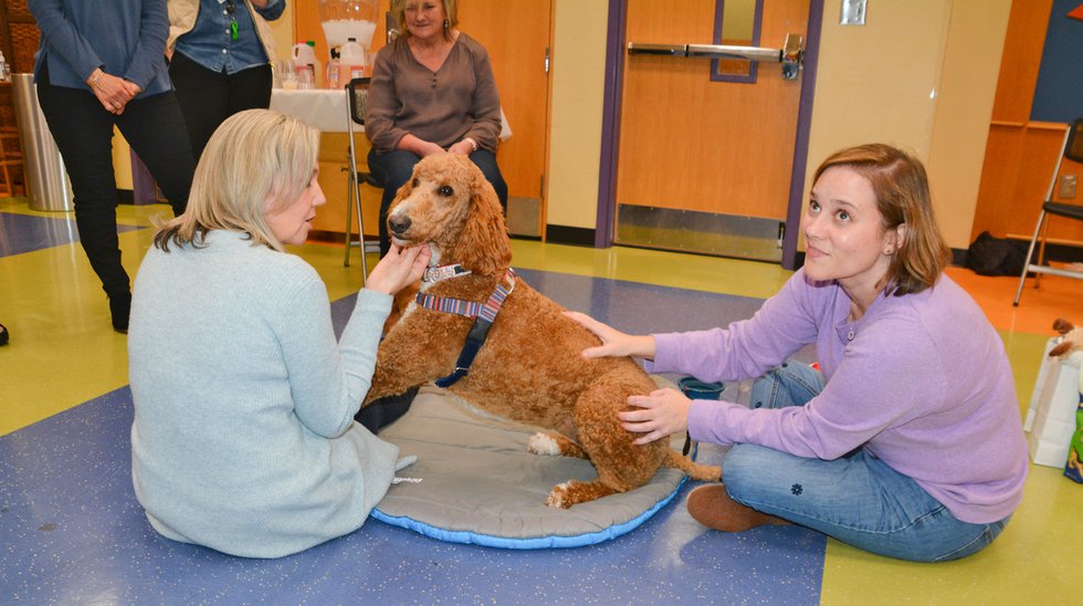 SUN-CITY-Library-dog.jpg