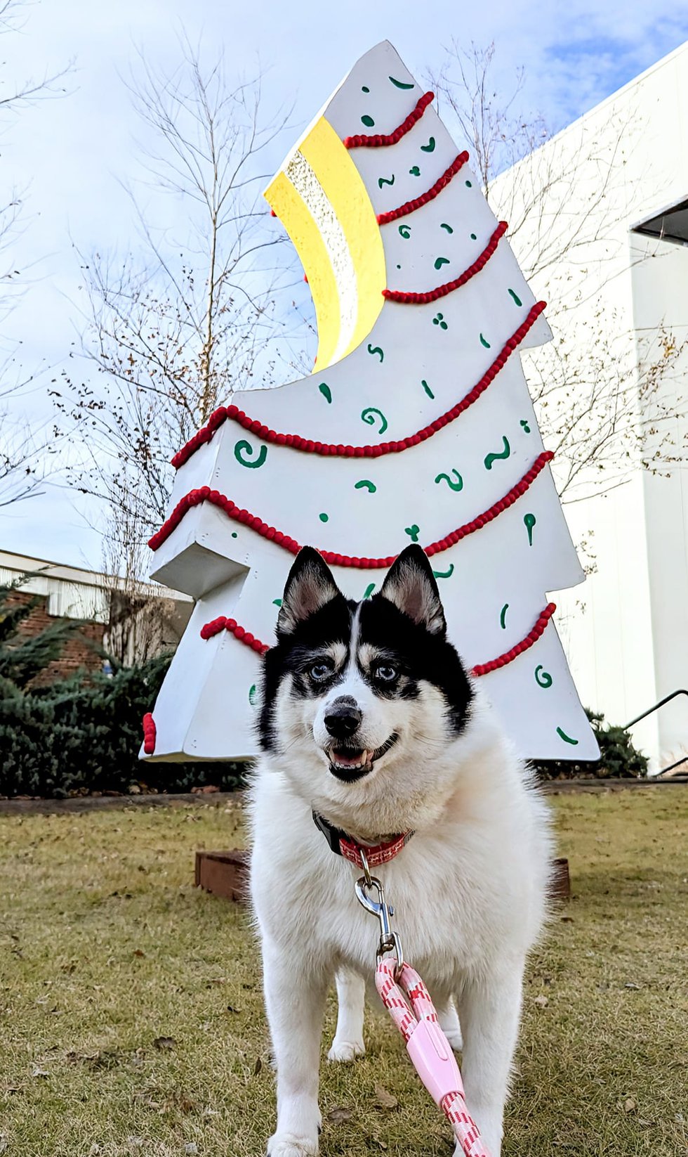 241219_Holiday Pets_PPL-10.jpeg