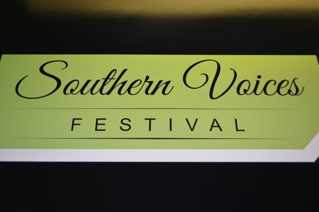 Southern Voices 2016 7