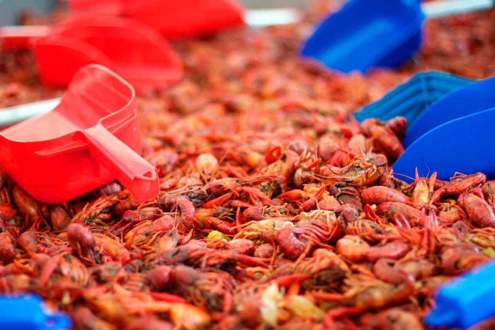 Ross Bridge to host Hope for Autumn Crawfish Boil